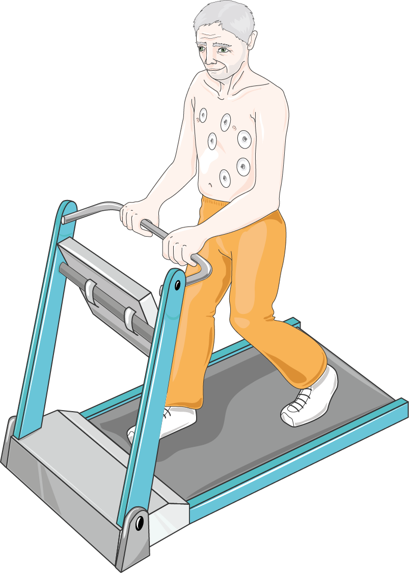 Cần Giấy Chứng Nhận Sức Khỏe Gì Để Chơi Thể Thao Cường Độ Cao?
