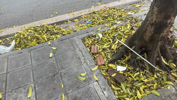 4. Chụp đi chụp lại hàng năm để "theo dõi"!